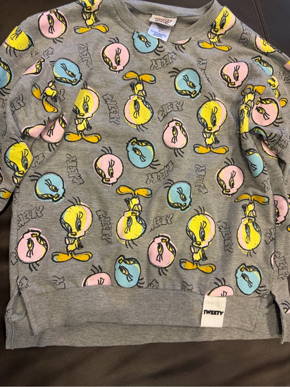 Warner Bros. Looney Tunes Grey Pullover with Pastel Accents